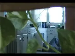 ユージンウェイクチキンウェイクアップウェ ...